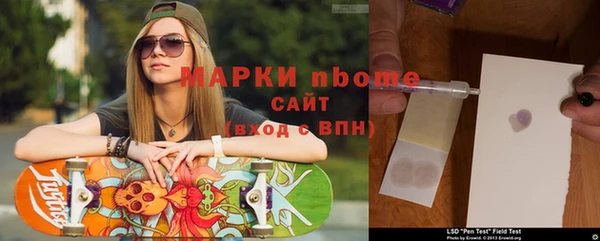 индика Абаза