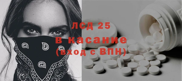 индика Абаза