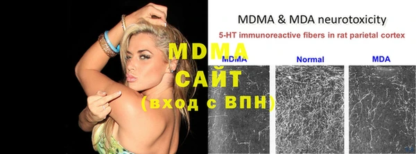 индика Абаза