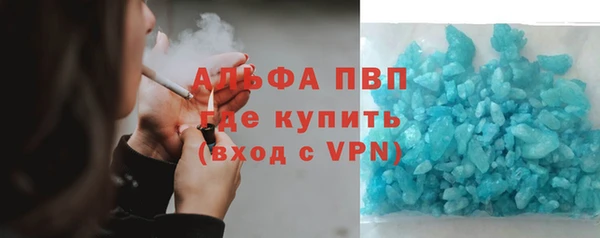 индика Абаза