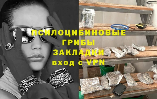 ГАЛЛЮЦИНОГЕННЫЕ ГРИБЫ Абинск