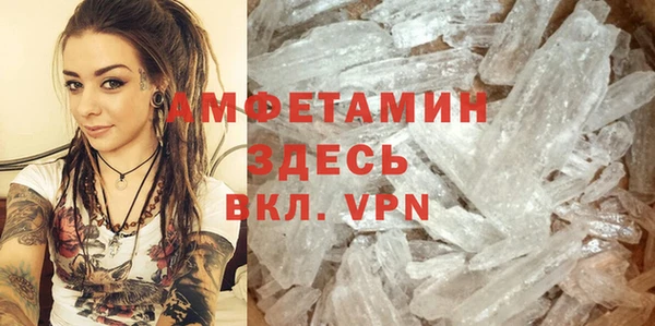 индика Абаза