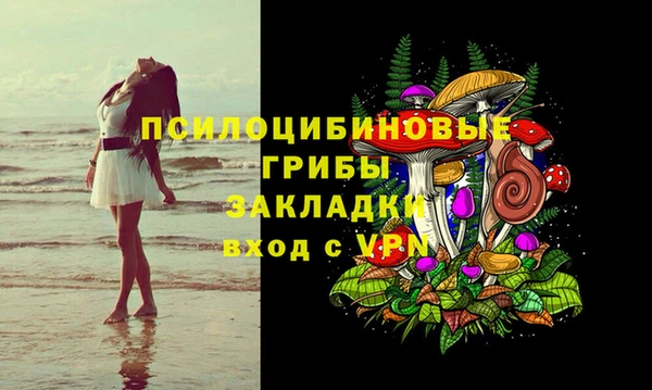 ГАЛЛЮЦИНОГЕННЫЕ ГРИБЫ Абинск