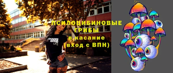 индика Абаза