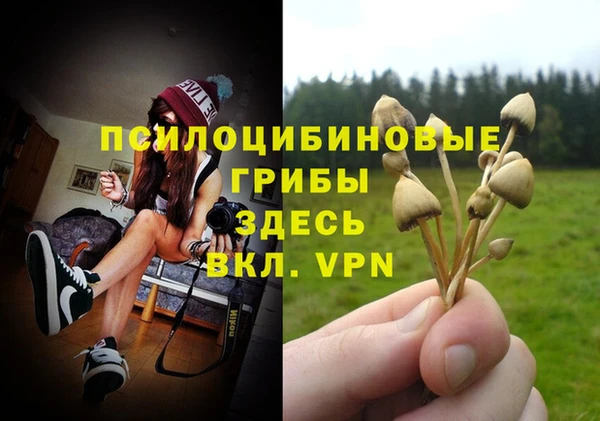 ГАЛЛЮЦИНОГЕННЫЕ ГРИБЫ Абинск