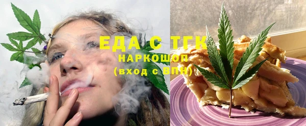 индика Абаза