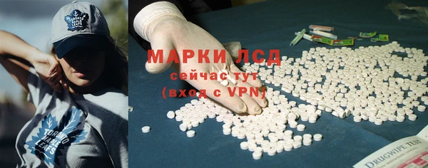 индика Абаза