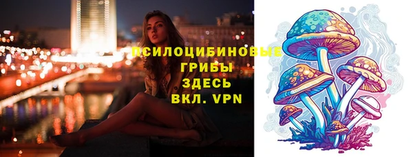 индика Абаза